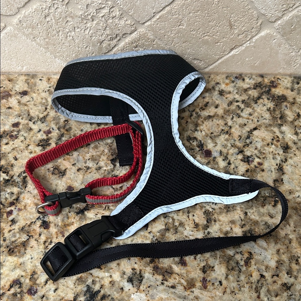 Black and Red Dog Harness & Leash size medium